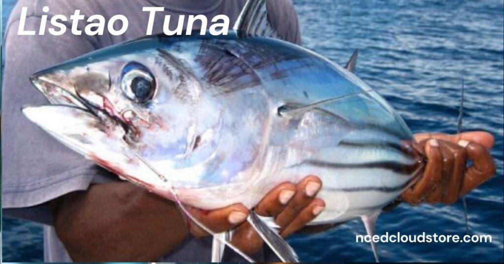 Listao Tuna